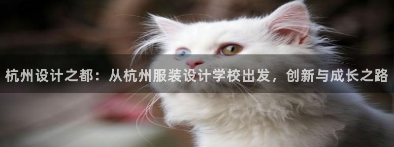 星饭娱乐欧豪