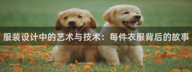欧星娱乐08