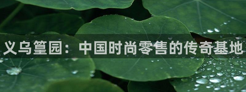 星欧娱乐开户