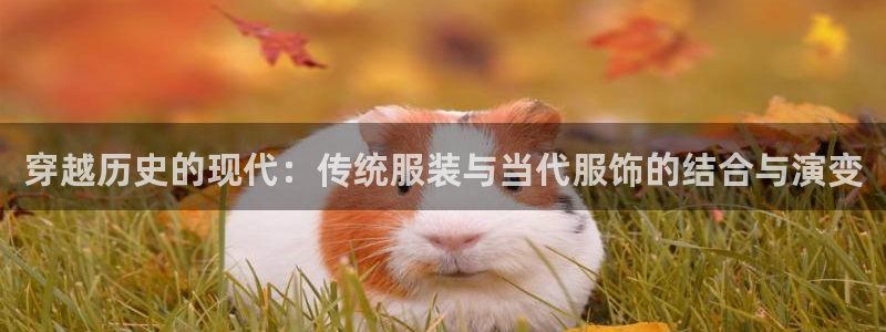 星欧娱乐联客服联系方式