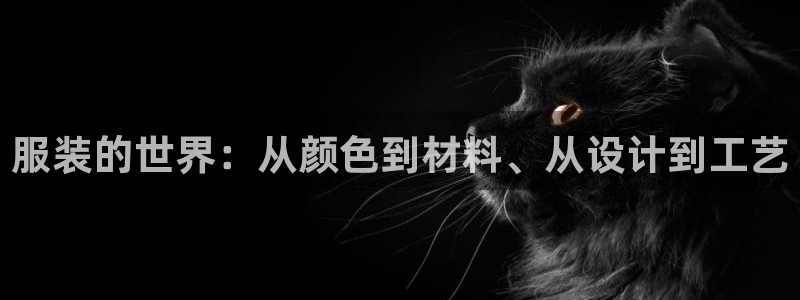 欧联杯正赛星辉娱乐
