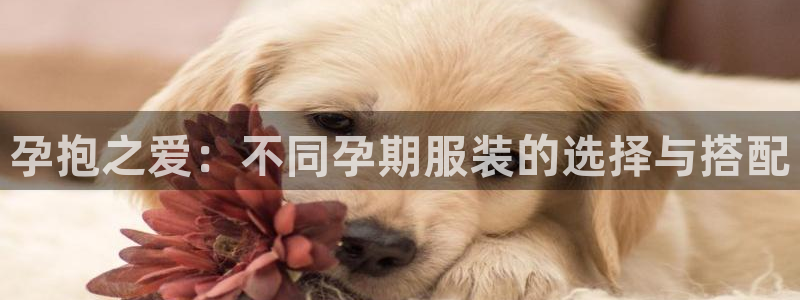 星欧娱乐是什么