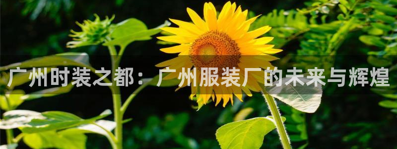 星欧娱乐联客服联系方式