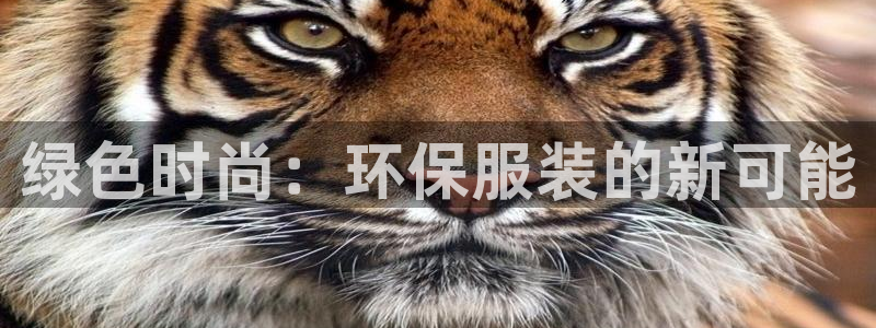 匠星娱乐政f下跪欧普软件园