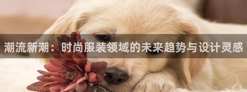 欧星娱乐平台是黑的吗?