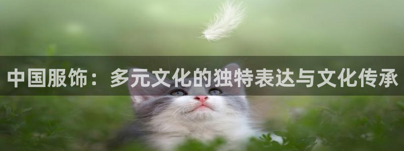 星欧娱乐登陆