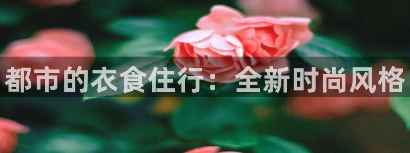 星欧娱乐代理