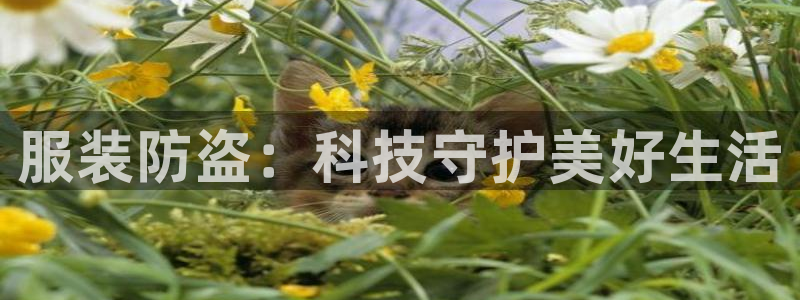 星欧娱乐客服人工电话