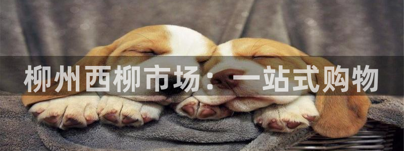 星欧娱乐扣费详情详解