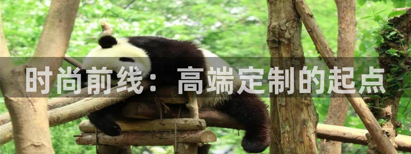 星欧娱乐平台主管