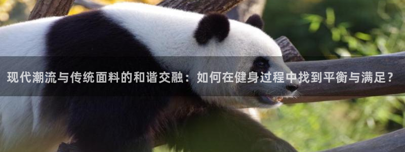 星辉娱乐进入欧联杯了吗