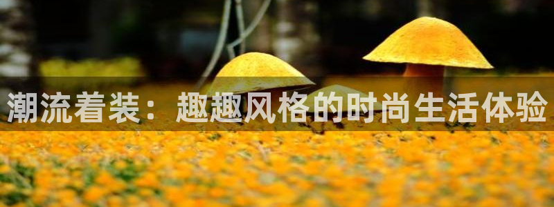 武汉欧汇星娱乐有限公司