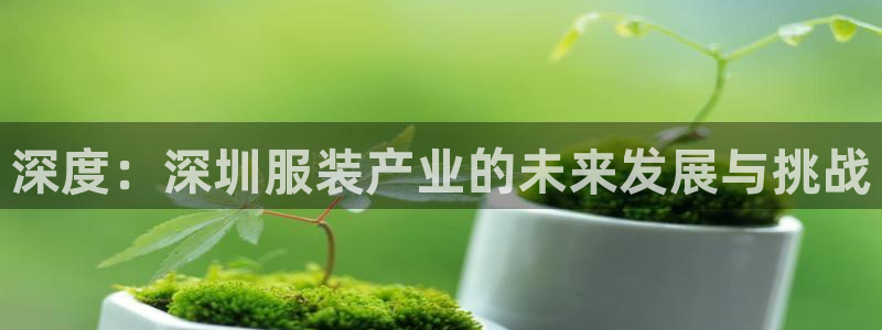 星饭娱乐欧豪是谁