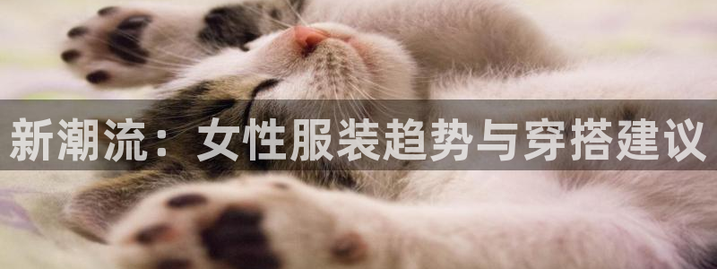 星欧娱乐文化无锡