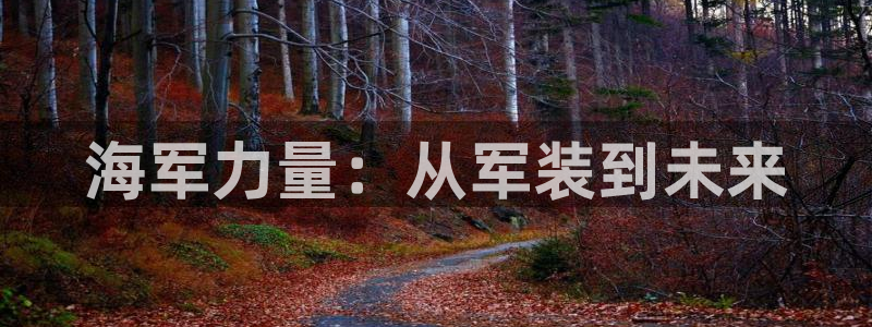 星欧娱乐现在叫什么