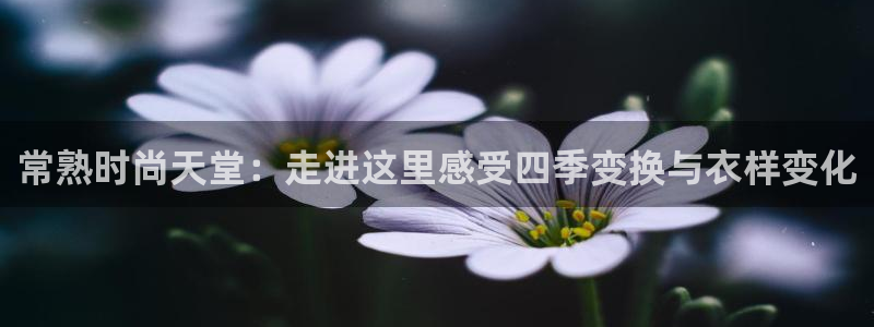 星欧娱乐app登录入口